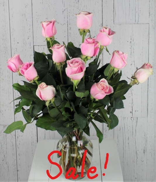 Picture of Dozen Light Pink Roses