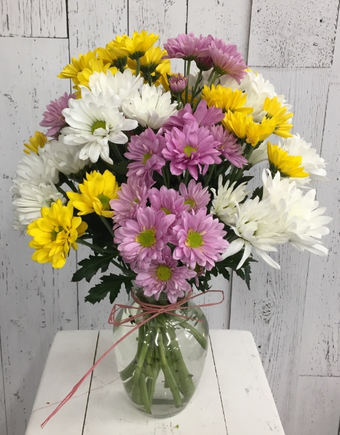 Picture of Field of Daisies