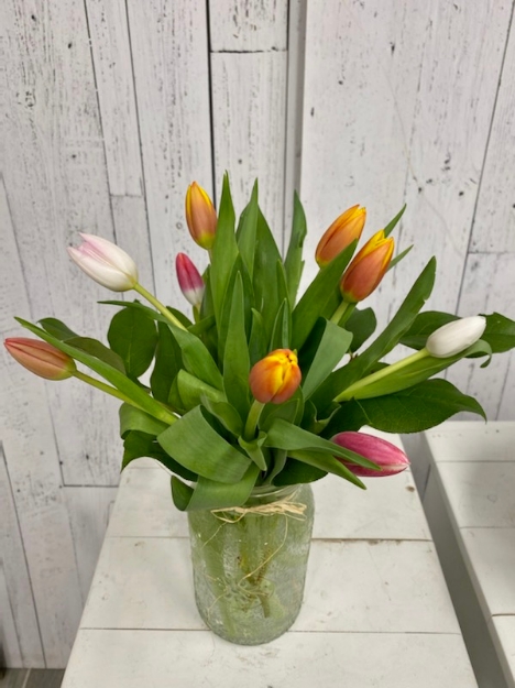 Picture of Mixed Colour Tulip Bouquet