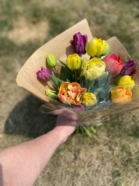 Picture of Local Tulip Bouquet