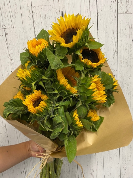 Picture of Sunflower Bonus (10+2)  Bouquet
