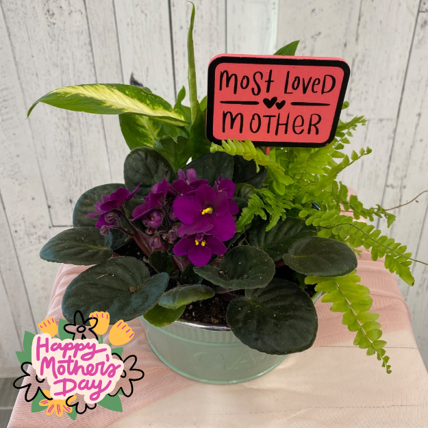 Picture of Most Loved Mother (Planter)