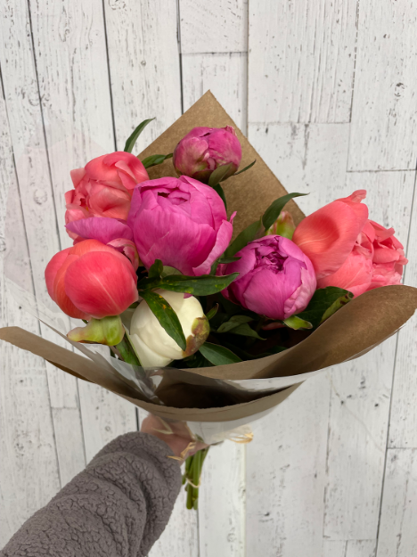 Picture of Peonies Please!