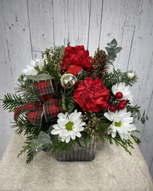 Picture of Candy Cane Lane